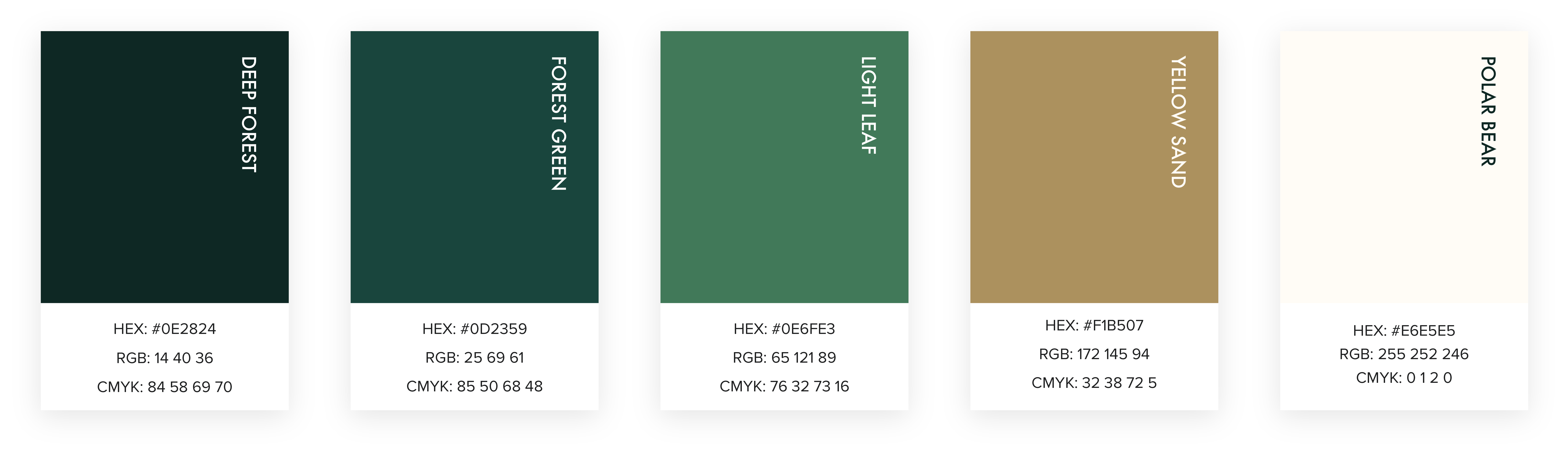 Yonge Canadian Logo Colours